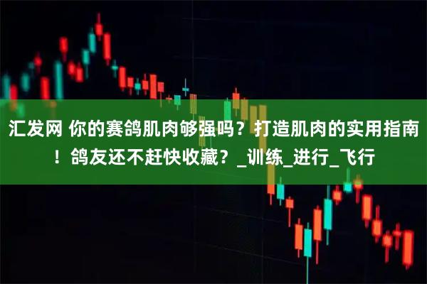 汇发网 你的赛鸽肌肉够强吗?打造肌肉的实用指南!鸽友还不赶快收藏?_训练_进行_飞行